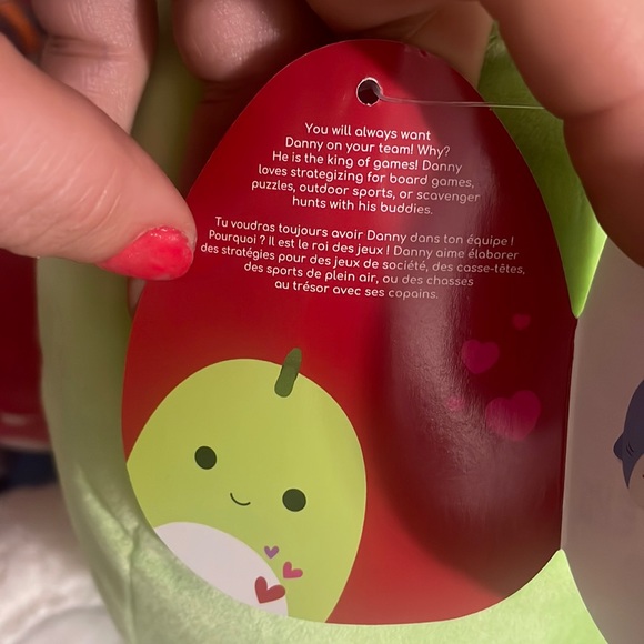 Danny 8” Squishmallow - Picture 4 of 5